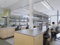 Laboratory - UC Davis School of Veterinary Medicine